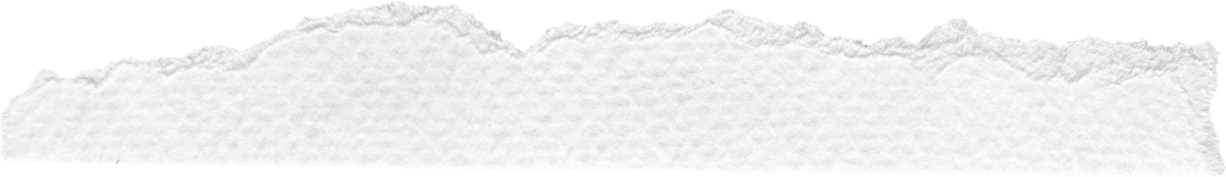 blanc déchiré papier texturé pièce png