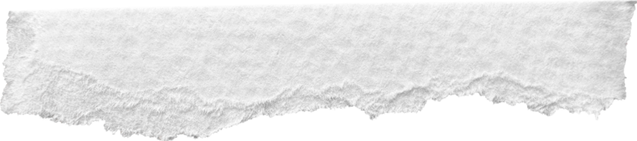 Weiß zerrissen Papier texturiert Stück png