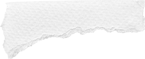 White Torn Paper Textured Piece png