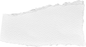 blanc déchiré papier texturé pièce png