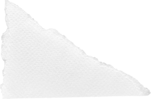 White Torn Paper Textured Piece png