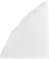 blanc déchiré papier texturé pièce png