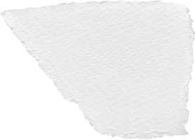 blanco Rasgado papel texturizado pedazo png