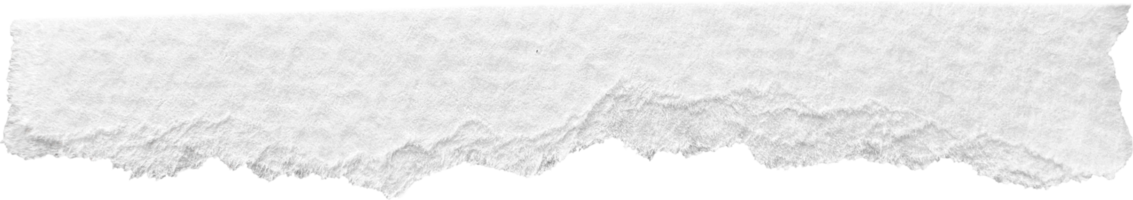 wit gescheurd papier getextureerde stuk png