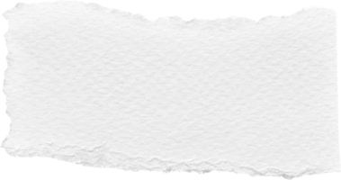 blanco Rasgado papel texturizado pedazo png