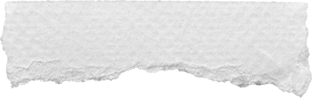 White Torn Paper Textured Piece png