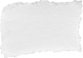 blanc déchiré papier texturé pièce png