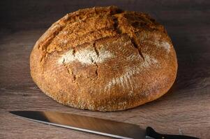 delicious homemade whole grain bread freshly baked 6 photo