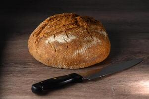 delicious homemade whole grain bread freshly baked 2 photo