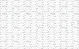 White and gray hexagon pattern background vector