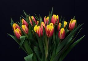 Set with beautiful tulip flowers on black background 1 photo