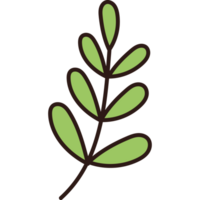 ramo con foglie png