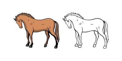 Horse Character Design Illustration vector