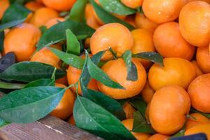 naranjas en un caja en un Tienda en Chipre 1 foto