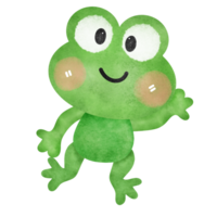 Cute frog . png