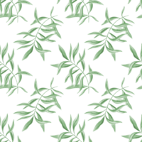 Tropical green leaves. Oleander branches. Seamless pattern of olive leaves. Realistic eucalyptus foliage. Watercolor illustration of floral greenery design for package, textile png
