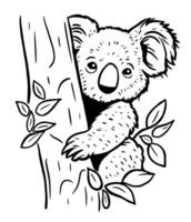 Koala sitting on a tree. Illustration on a white background. vector