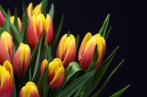 Set with beautiful tulip flowers on black background 3 photo