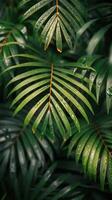 lozano verde palma frondas debajo luz de sol en un tropical bosque foto