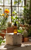 Essential Oil Bottle on Rock photo