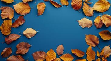 Autumn Leaves Frame on Blue Background photo