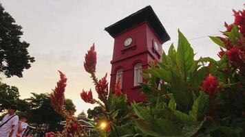 melaka, Malaysia - 10 ° aprile, 2024 - vicino su orologio Torre nel melacca storico città. olandese quadrato. rosso edifici e primavera fiori sfondo. famoso viaggio punto di riferimento destinazione video