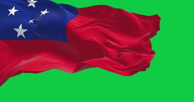 National flag of Samoa waving isolated on green background video