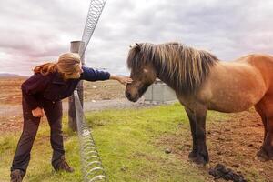 mature woman caresses an Icelandic horse photo