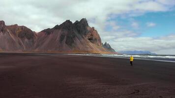 Mann im ein Gelb Jacke Spaziergänge entlang das schwarz Sand Strand von stokksnes im Island video