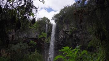 waterfall in the forest Africa slow motion video