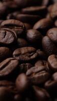 Closeup of brown roasted coffee beans, dark of bean, macro of bean, closeup of a bean video