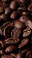 Closeup of brown roasted coffee beans, dark of bean, macro of bean, closeup of a bean video