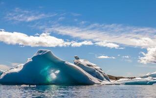 panorama of icebergs floating in the blue lagoon photo