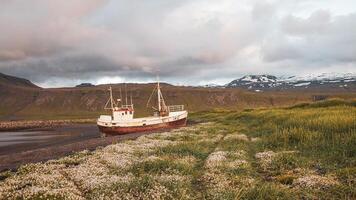 Abandoned vessel stranded on a beach on the Icelandic coast photo