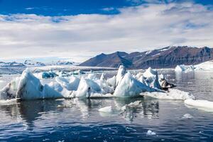 panorama of icebergs floating in the blue lagoon photo