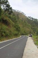 road in the mountains with a fresh natural atmosphere photo