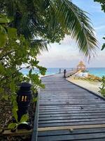 Tropical ocean view, berth between palms, vertical photo