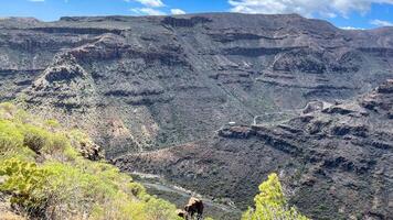 Canary islands, Rock valley, Road between high mountains photo