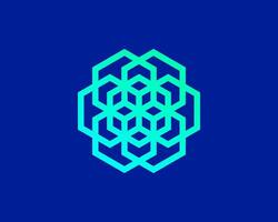 Geometric shape hexagon logo design. vector