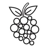grape fruit icon vector