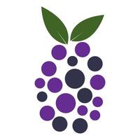 grape fruit icon vector