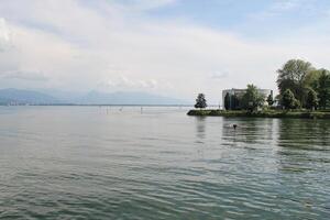 Nature at Lake Constance photo