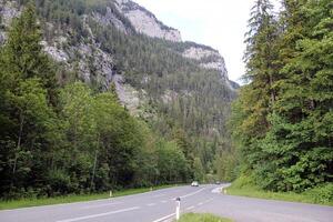 Road at the Alps Mountains photo