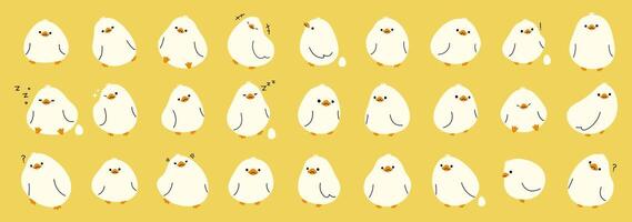 White duck collection on a yellow background, illustration. vector