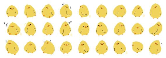 Yellow duck collection on a white background, illustration. vector