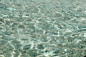 Coins in the Water of Trevi Fountain in Rome, Italy photo