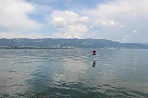 Nature at Lake Constance photo