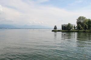Nature at Lake Constance photo