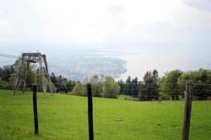 Alpine wildlife park animals and the view of lake constance in Bregenz, Austria photo