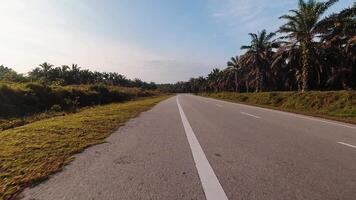 ponto do Visão hiperlapse espaço de tempo do bicicleta equitação aberto cênico rodovia área em esquerda lado Alto Rapidez equitação bicicleta . velozes hiperlapse estrada viagem viagem conceito ordenar do dashcam pov video